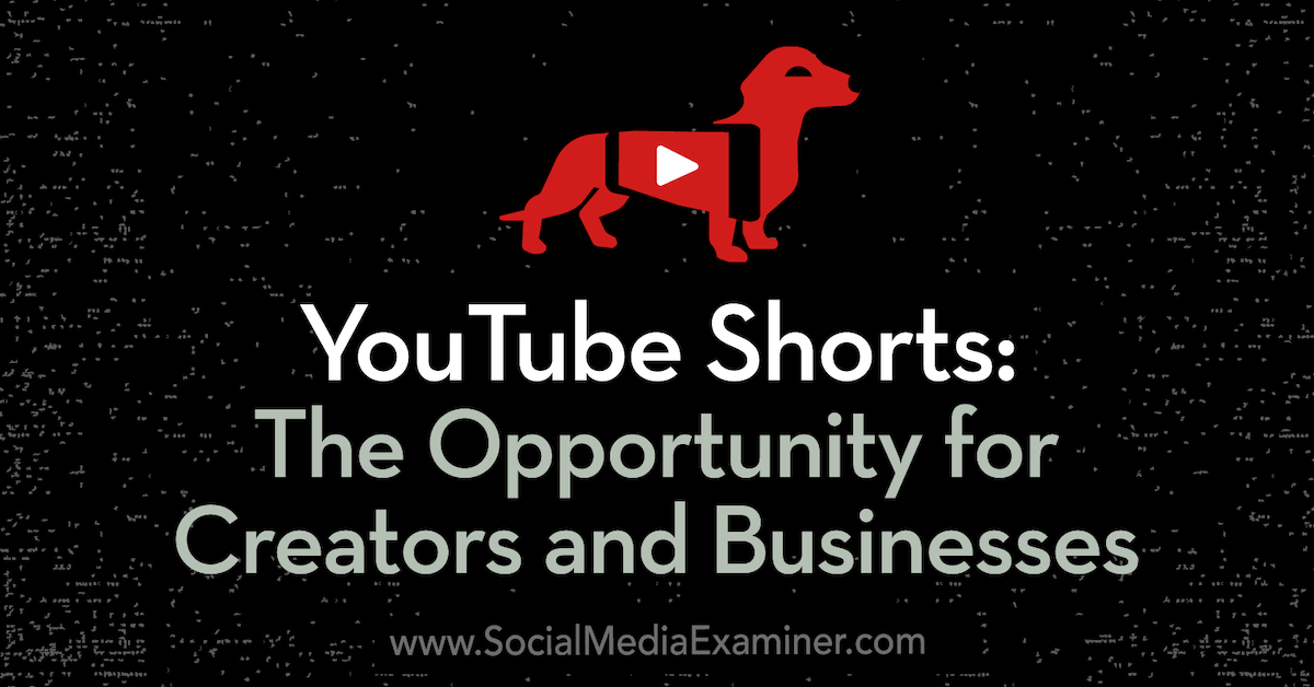 YouTube Shorts: l’opportunité pour les créateurs et les entreprises: examinateur des médias sociaux