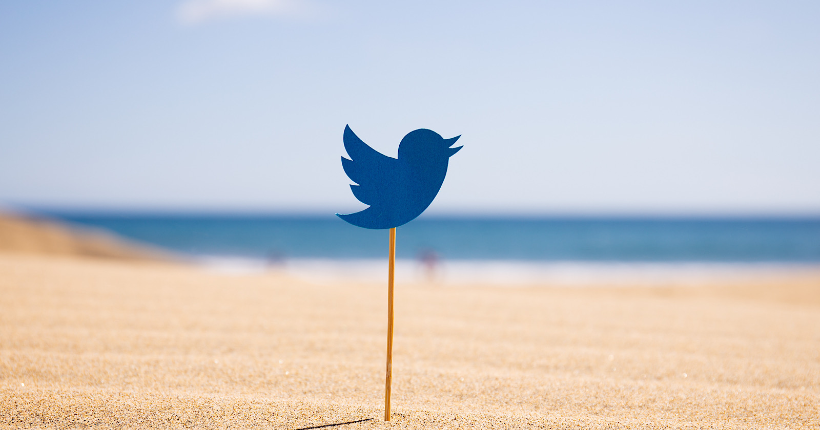 Les données de Twitter révèlent les priorités des consommateurs pour l’été 2021