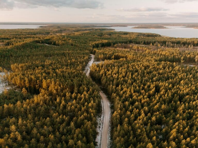 Comment j'ai préparé mes réseaux sociaux pour un congé de maladie prolongé
