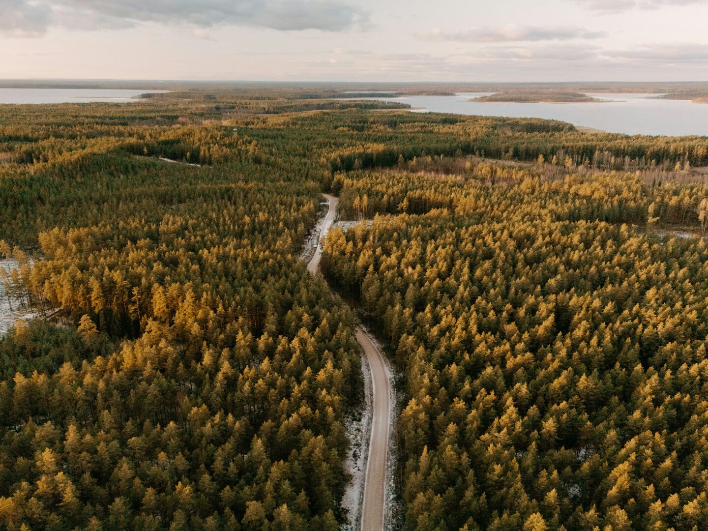 Comment j'ai préparé mes réseaux sociaux pour un congé de maladie prolongé